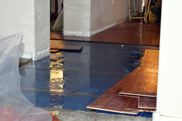 Professional Burst Pipe Cleanup technician working in Sloan, NV